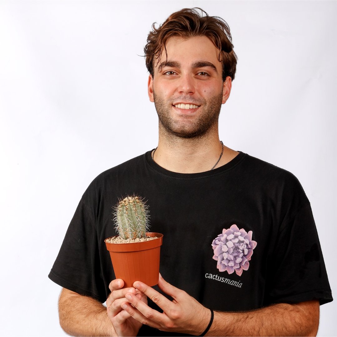 Copiapoa calderana Ø 12 cm