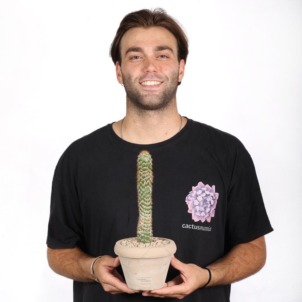 Trichocereus spachianus f. mostruosa Ø 14