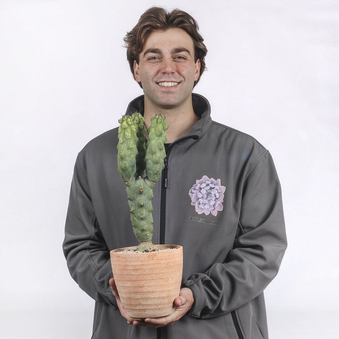 Myrtillocactus Fukurokuryuzinboku variegato Ø 18 cm