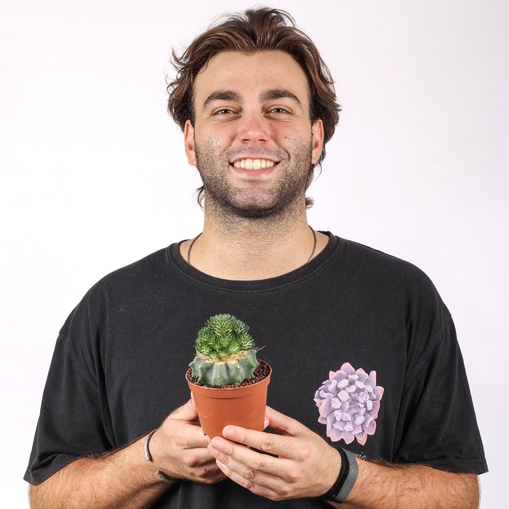 Tephrocactus malyanus Ø 10,5 cm