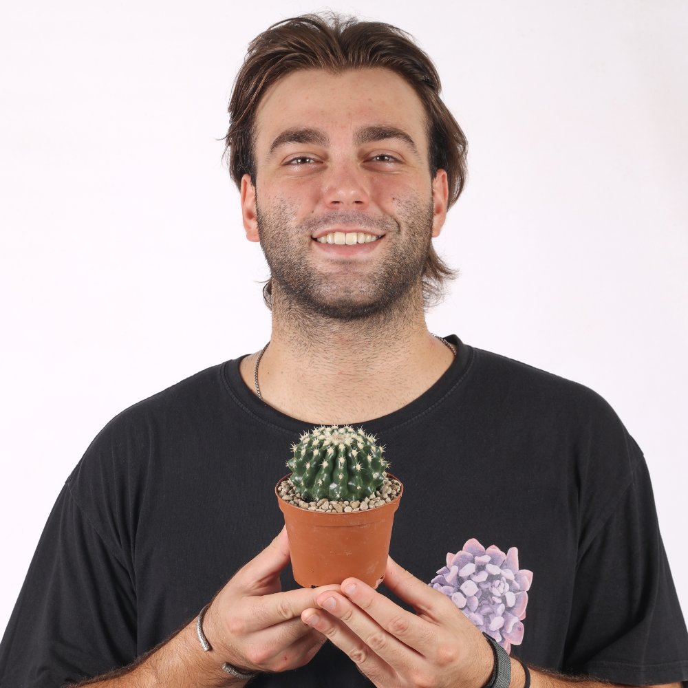 Echinocactus grusonii inermis Ø 10,5 cm