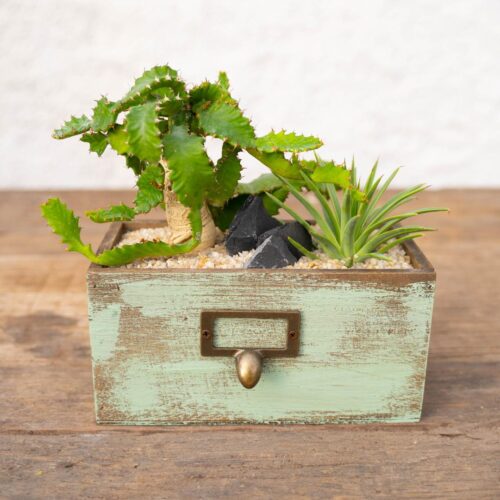 Green Mix Composition
