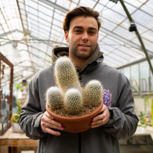 Echinocactus macdowellii Ø 25 cm